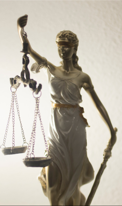 especialistas en delitos economicos